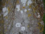 image of grave number 835493